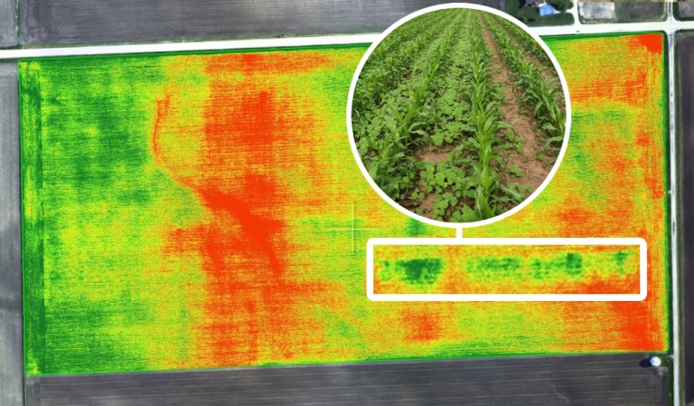 Agricultural Crop Monitoring Surveys