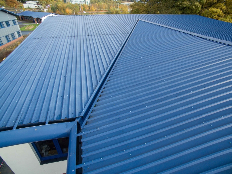 Building Inspection Surveys